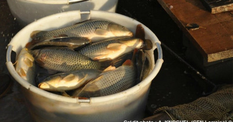 Un acteur de la pêche évoque des pertes annuelles de 2 milliards