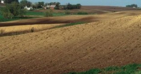 Sénégal : polémique autour d'une concession de terres