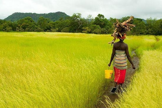 NON, CASAMANCE ON NE JOUE PAS AVEC !