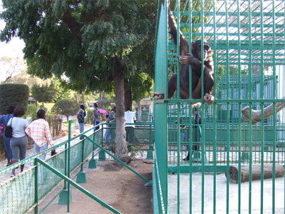 A la découverte de la face cachée du Parc forestier et animalier de Hann +++ Par Abdourahmane Traoré +++