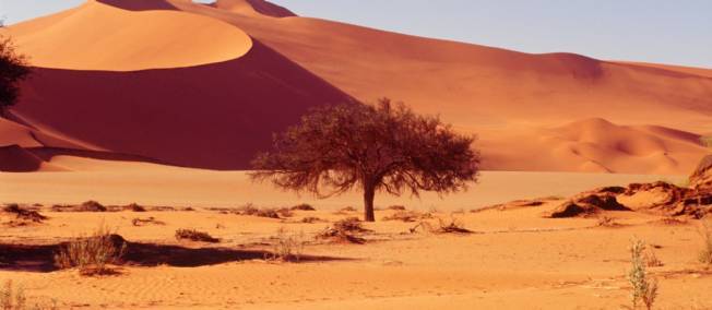 Un trésor aquatique découvert sous la Namibie