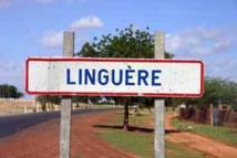 LINGUERE: LES POPULATIONS DE DODJI COURENT DERRIERE “LEUR LAC ARTIFICIEL“