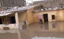 Economie : Une bonne gestion des zones humides, un moyen efficace de combattre les inondations