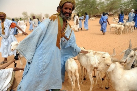 En Mauritanie, 75.000 Maliens échoués dans le désert ont besoin d’aide, alerte MSF