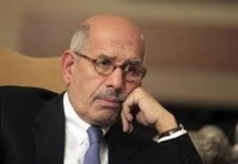 ElBaradei prête serment comme vice-président