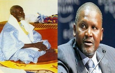 Dernières minutes : Dangote et les descendants de Serigne Saliou à nouveau devant la Cour d’appel