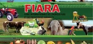 Economie-FIARA 20014-M. Oumar Baldé de la FEPROBA affiche son optimisme : « Le riz local est très bien apprécié par les populations de Dakar"