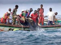 Alerte en mer : Des risques d’électrocution planent sur des pêcheurs à Mbour