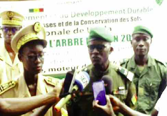 Mamadou Goudiaby, IREF de Kolda : «Le feu de brousse est l’ennemi numéro un de la forêt»