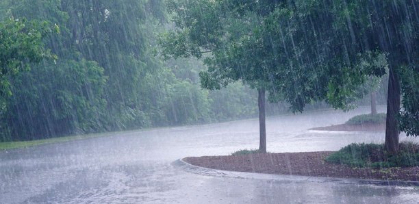 Trois jours de pluie non stop à Kolda : Plusieurs quartiers sous les eaux