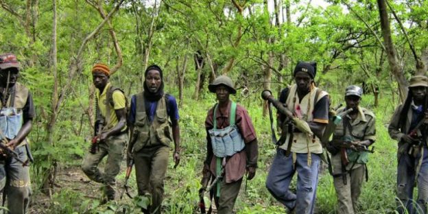 Casamance : L’armée chasse les rebelles des zones de culture et de trafic de chanvre indien