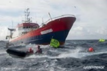 Surpêche : Greenpeace s’en prend aux ‘’bateaux monstres’’