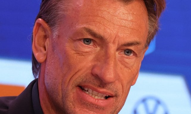 CAN 2023 : Hervé Renard est d’accord pour être prêté à la Côte d’Ivoire !