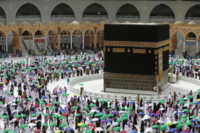 Hajj 2024: 11 décès, 1 disparition et 6% de taux de retards (Bilan MITTA)