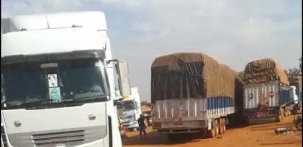 Frontière sénégalo-gambienne : Les transporteurs menacent de boycotter la transgambienne