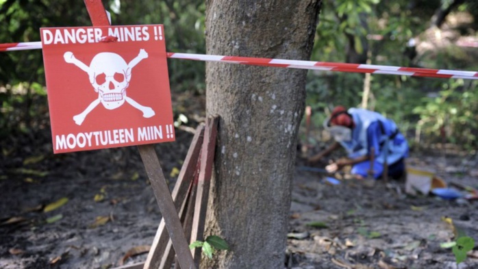 Déminage en Casamance : 500 engins explosifs et mines antipersonnel élagués depuis 2007 (CNAMS)