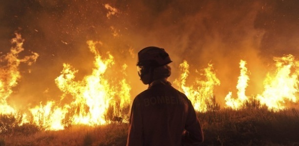 Tivaouane : Une série d'incendies inexpliqués ravage plusieurs concessions dans le village de Koul