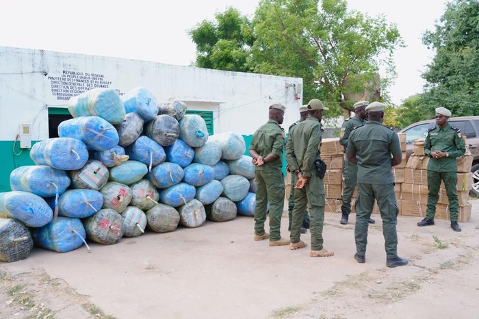 Douane sénégalaise : une valeur 103 millions de francs CFA saisie entre novembre et décembre