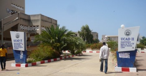 UNIVERSITÉ AU SÉNÉGAL - « 90% de littéraires et 10% dans les filières scientifiques, techniques et technologiques »