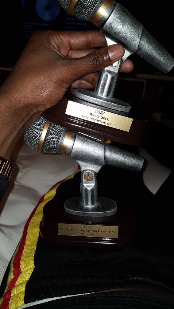 HAPA AWARDS 2017 : Wally Ballago Seck remporte deux trophées