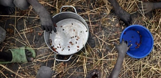 Plus de 516 000 Sénégalais menacés de famine