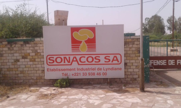 Sonacos Lyndiane : Des centaines de contrats suspendus par la direction.