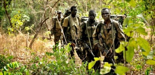 Casamance : les 7 soldats sénégalais libérés ce...