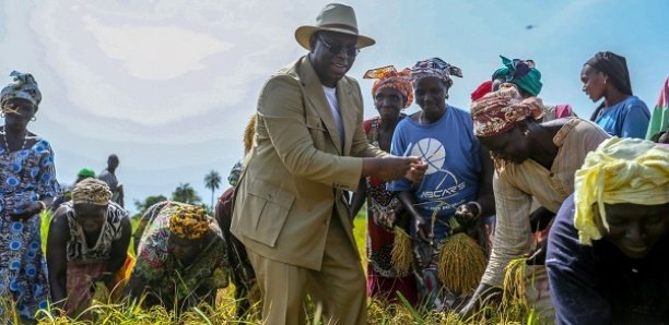 Souveraineté alimentaire : La nouvelle doctrine de Macky Sall