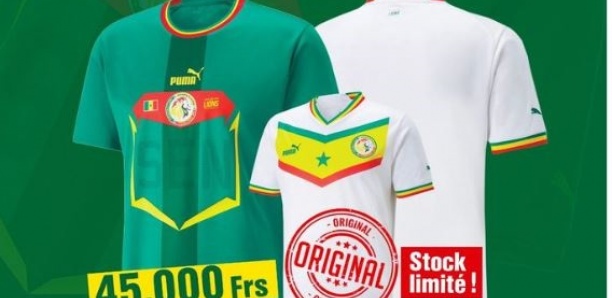 Maillots des lions : la Federation dévoile les prix des originaux