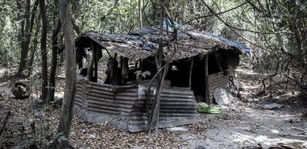 Projet de putsch en Guinée, trafic de drogue: Révélations explosives sur le présumé terroriste polono-guinéen arrêté à Kolda