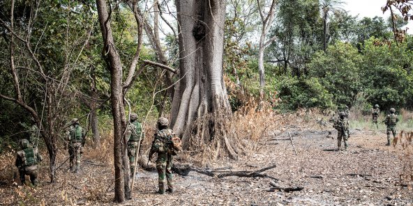 Casamance : Un jeune homme enlevé par des éléments armés, l’armée mobilisée !