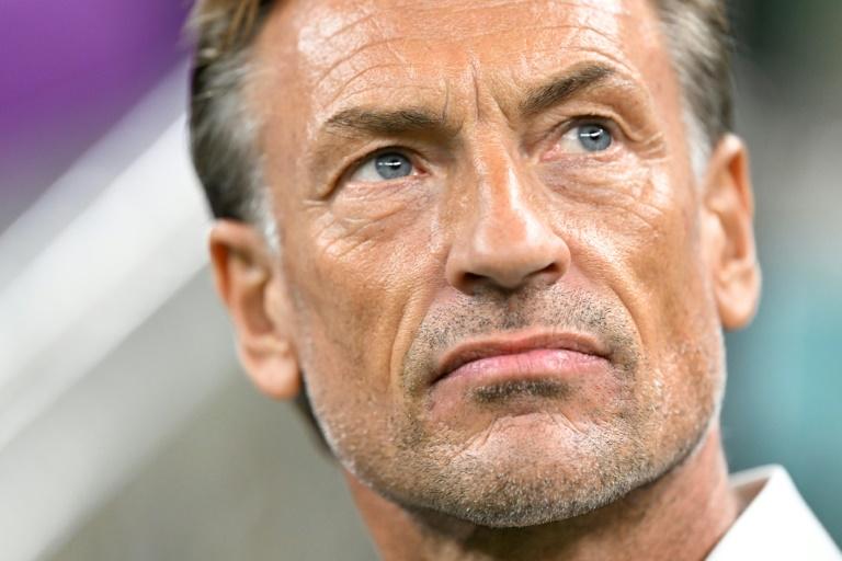 Football : Hervé Renard, pressenti chez les Bleues, quitte son poste de sélectionneur de l’Arabie saoudite