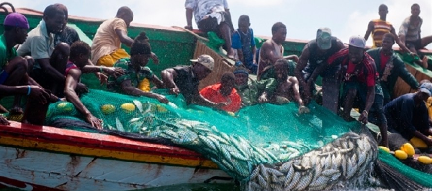 Les licences de pêche portées à 400