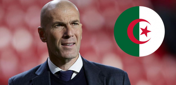 Succession De Djamel Belmadi: La réponse cash de Zidane