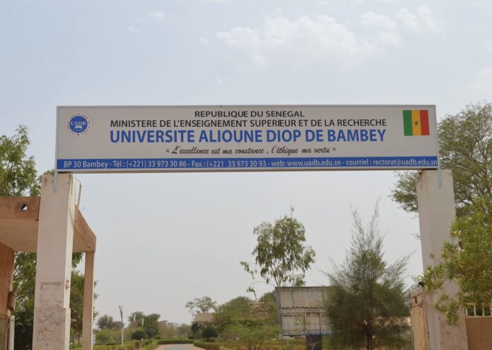 Université Alioune Diop de Bambey : la recrudescence de cas de VIH et de l'hépatite B sème la panique