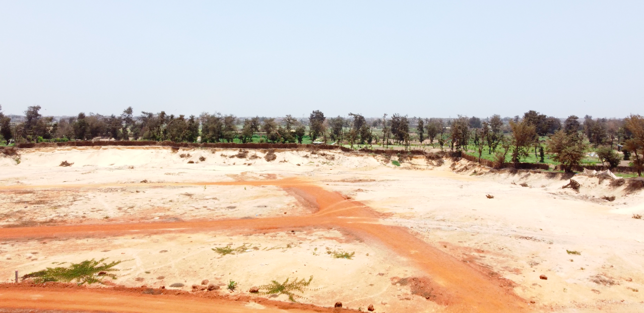 Procès de la bande de filaos à Dakar : L’acte 3 devant la cour suprême ce jeudi