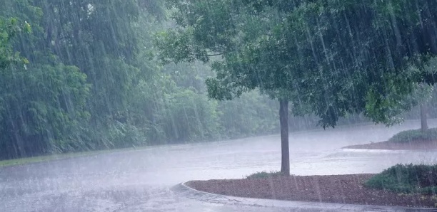 La pluie tue à Touba / 01 Mort retrouvé dans les décombres de la maison affaissée