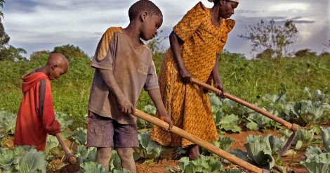 Vers l'intégration du coût de suivi de la comptabilité dans l'expression des besoins de la campagne agricole