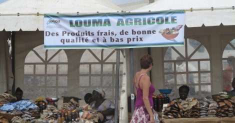 Les Loumas Agricoles à Thiès ce week-end