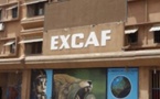 EXCAF TELCOM vs STARTIMES : le CNRA listes les manquements du Chinois (Mémorandum)