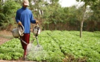 Keur Mousseu - Diender - Pout - Manifestations contre 350 hectares de leurs terres