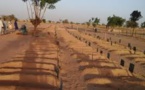 Profanation de l'ancien cimetière de Touba : Plusieurs matériels emportés