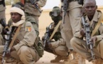 Treize soldats tchadiens et 65 djihadistes tués dans le Nord-Mali