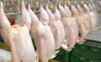 La Douane saisit une tonne de cuisses de poulet frauduleuses à Rufisque