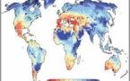 Afrique-Effets néfastes des changements climatiques : AfricaInteract  travaille pour la mise en place des mesures d’atténuation