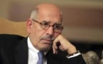 ElBaradei prête serment comme vice-président