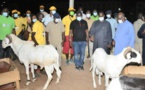 Macky Sall offre 5000 moutons de Tabaski, « sans condition de coloration politique »
