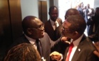 Youssou Ndour et Massamba Sarr se retrouvent