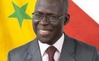 Locales Saint-Louis : Cheikh Bamba Dièye blindé de 18 partis politiques