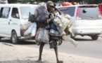 Ziguinchor : Une meute de malades mentaux accueillit tous visiteurs